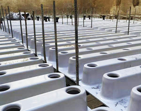 ��˾܇�g�D��